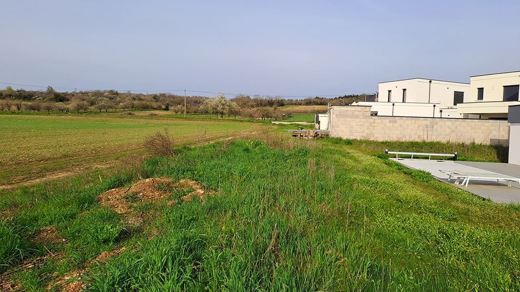 Jardin avant aménagement